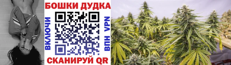 Наркошоп Вытегра Марихуана  Мефедрон  АМФ  ГАШИШ  А ПВП 