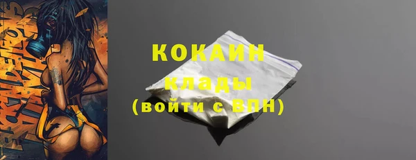 СК Волосово