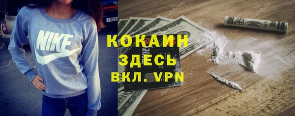 шишки Володарск