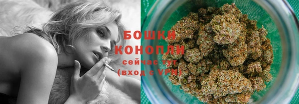 шишки Володарск