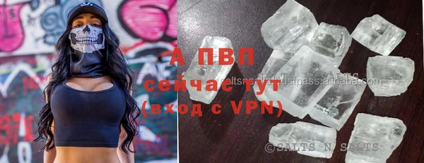 СК Волосово