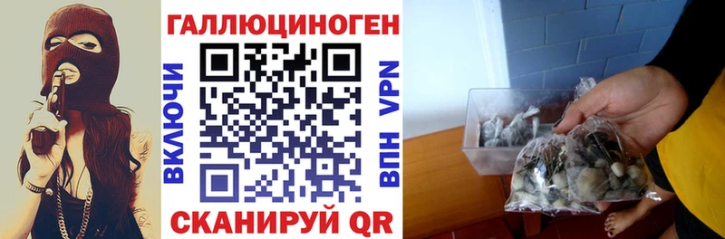 Псилоцибиновые грибы ЛСД  ссылка на мегу онион  Вытегра 